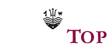 logo light